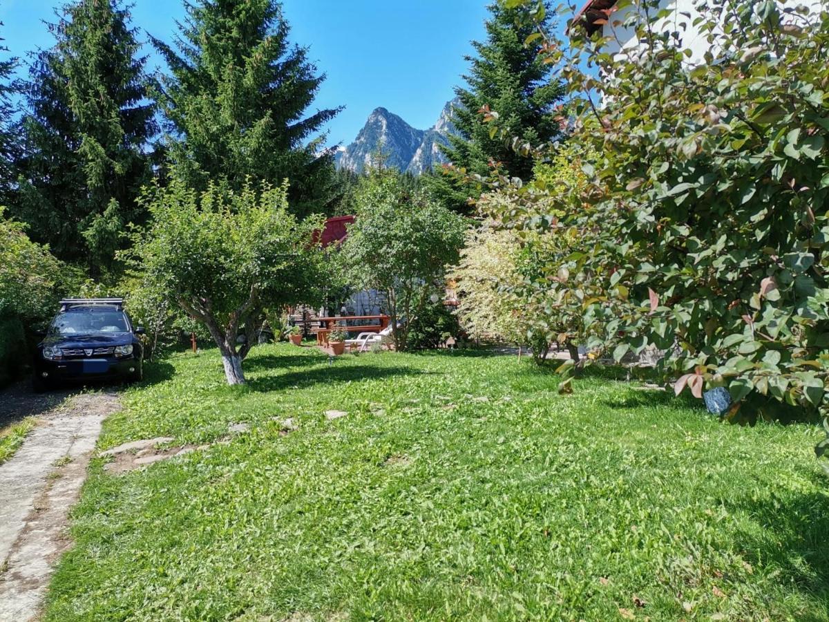 Zoso Home Buşteni Exterior foto