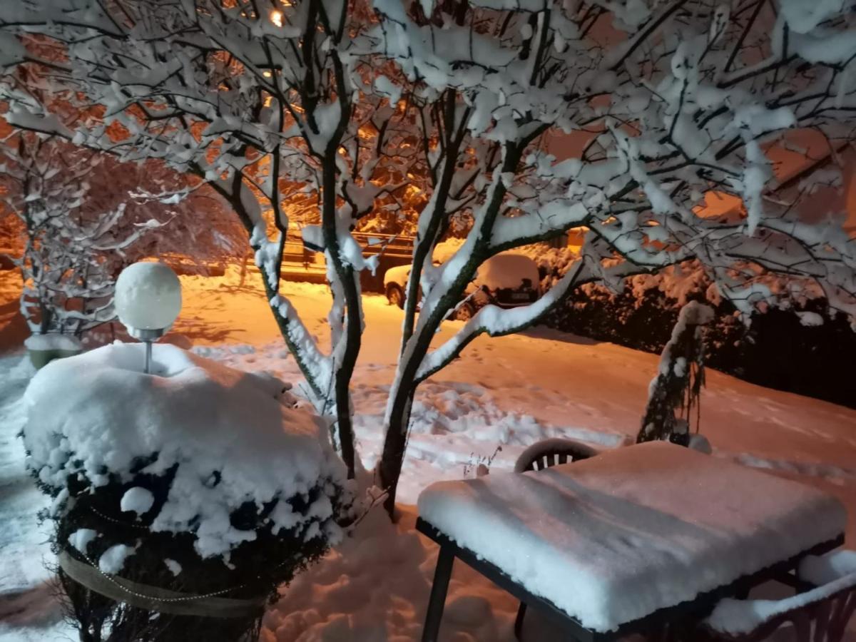 Zoso Home Buşteni Exterior foto
