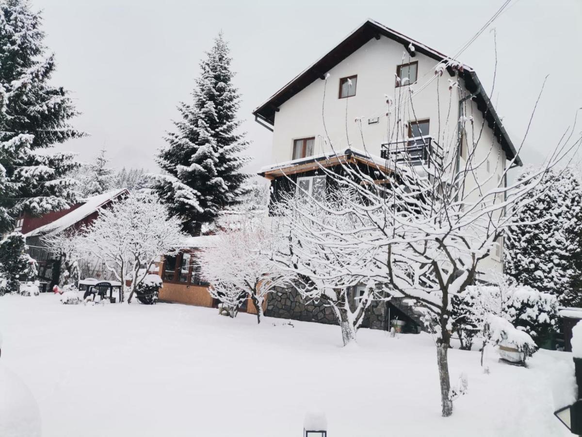 Zoso Home Buşteni Exterior foto