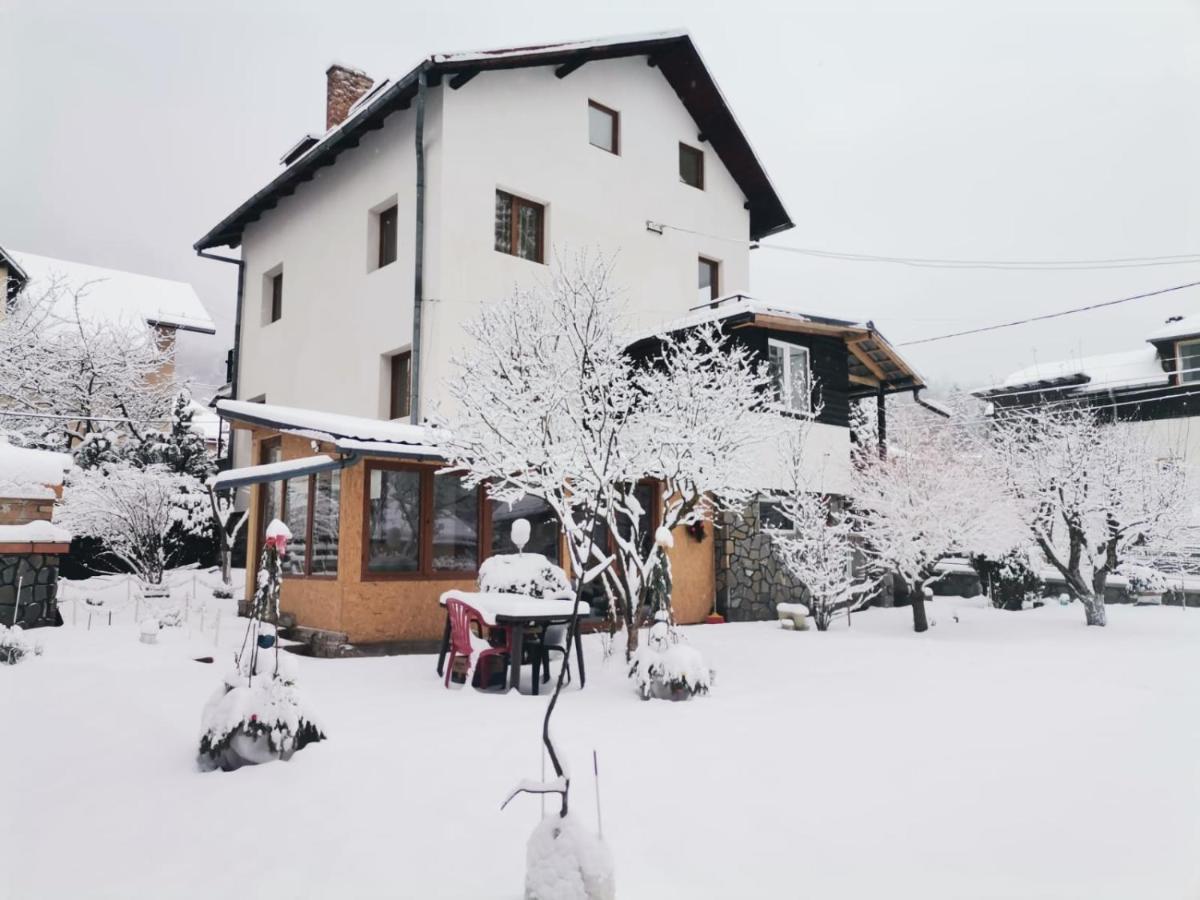Zoso Home Buşteni Exterior foto